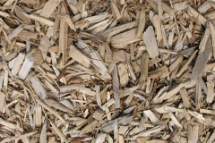 biomass boilers Sandgreen