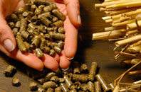 free Sandgreen biomass boiler quotes